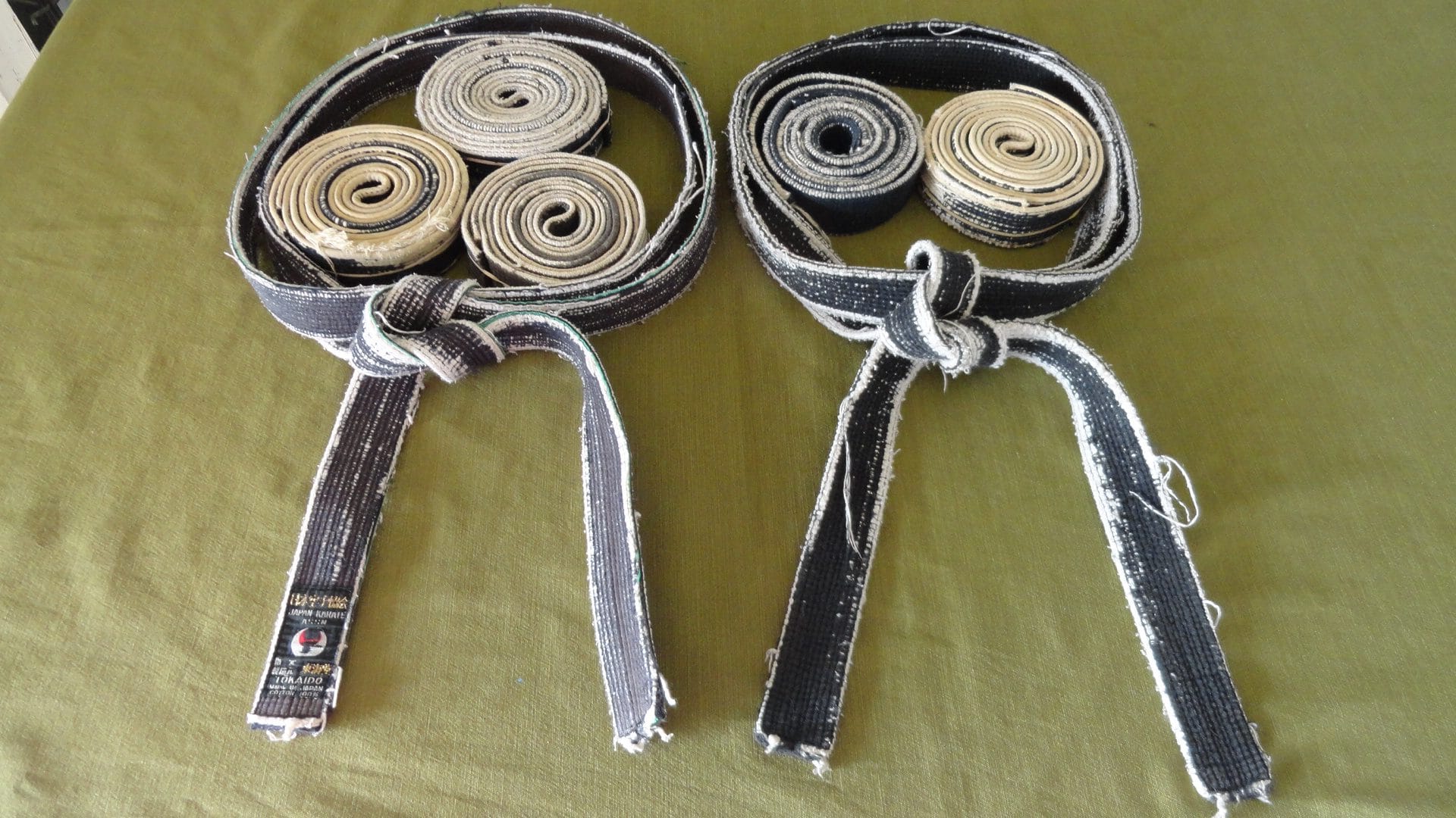 sensei belts 40 years