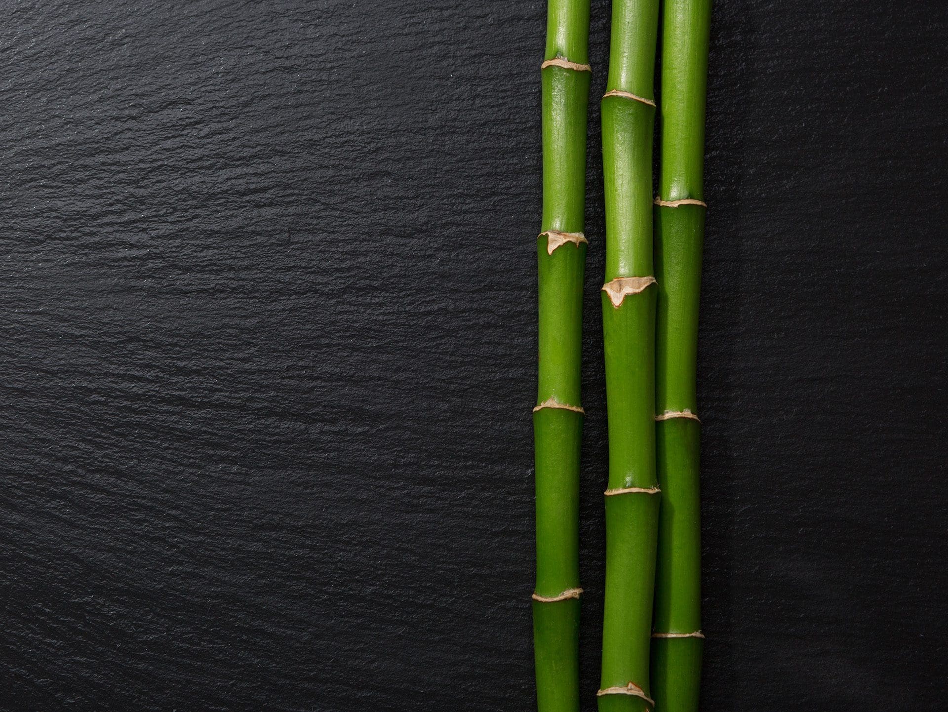 bamboo on dark slate
