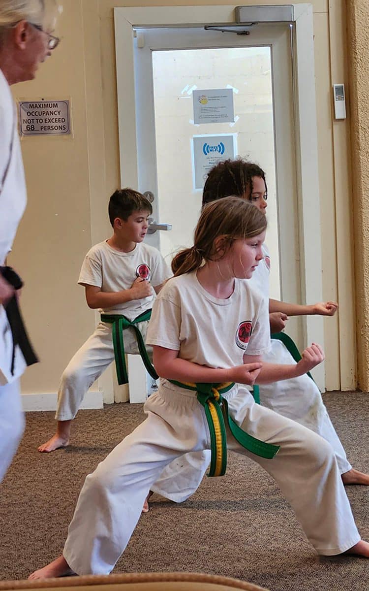 Waikoloa Karate Academy