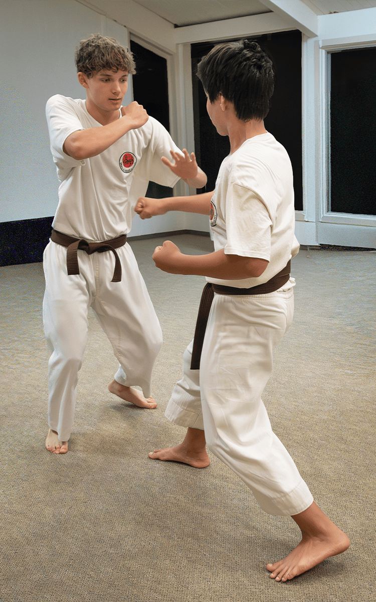 waikoloa karate academy