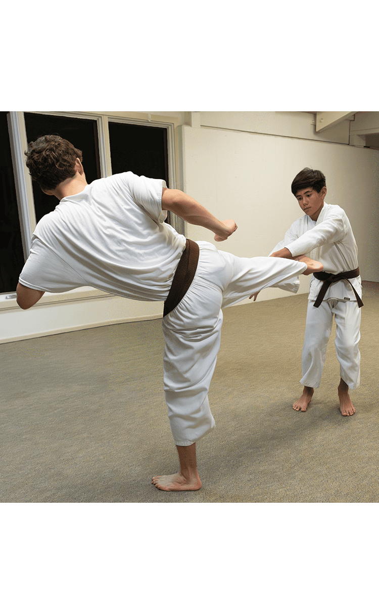 waikoloa karate academy
