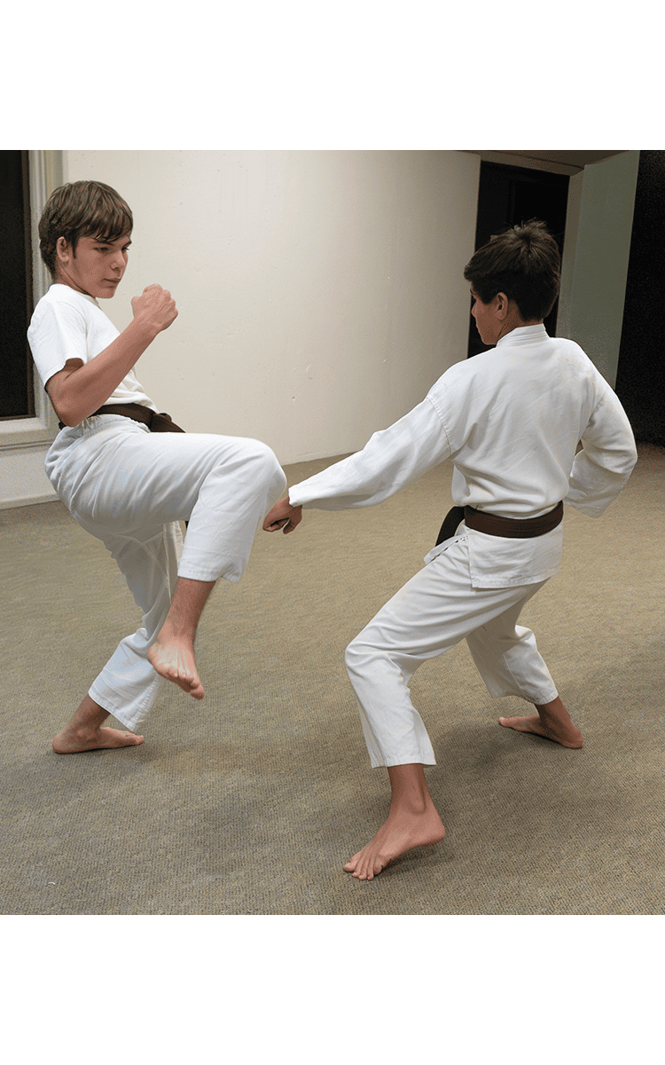 waikoloa karate academy
