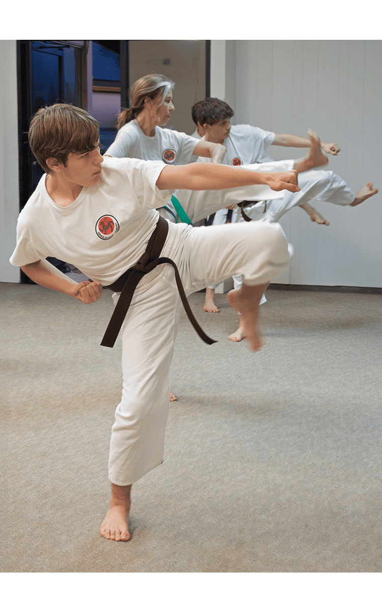 waikoloa karate academy