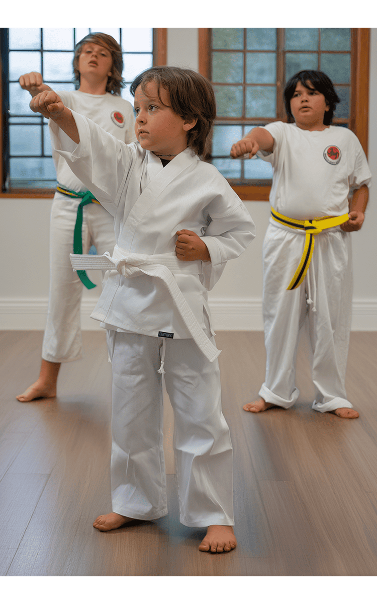 waikoloa karate academy
