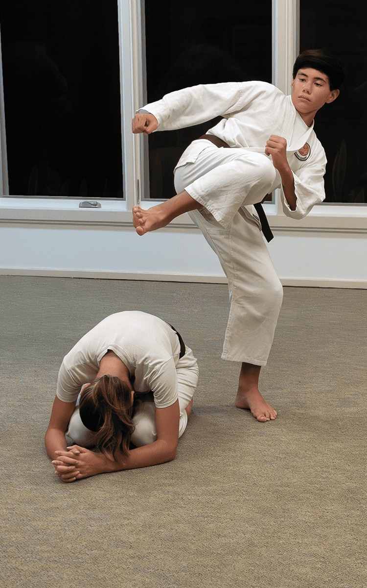 waikoloa karate academy